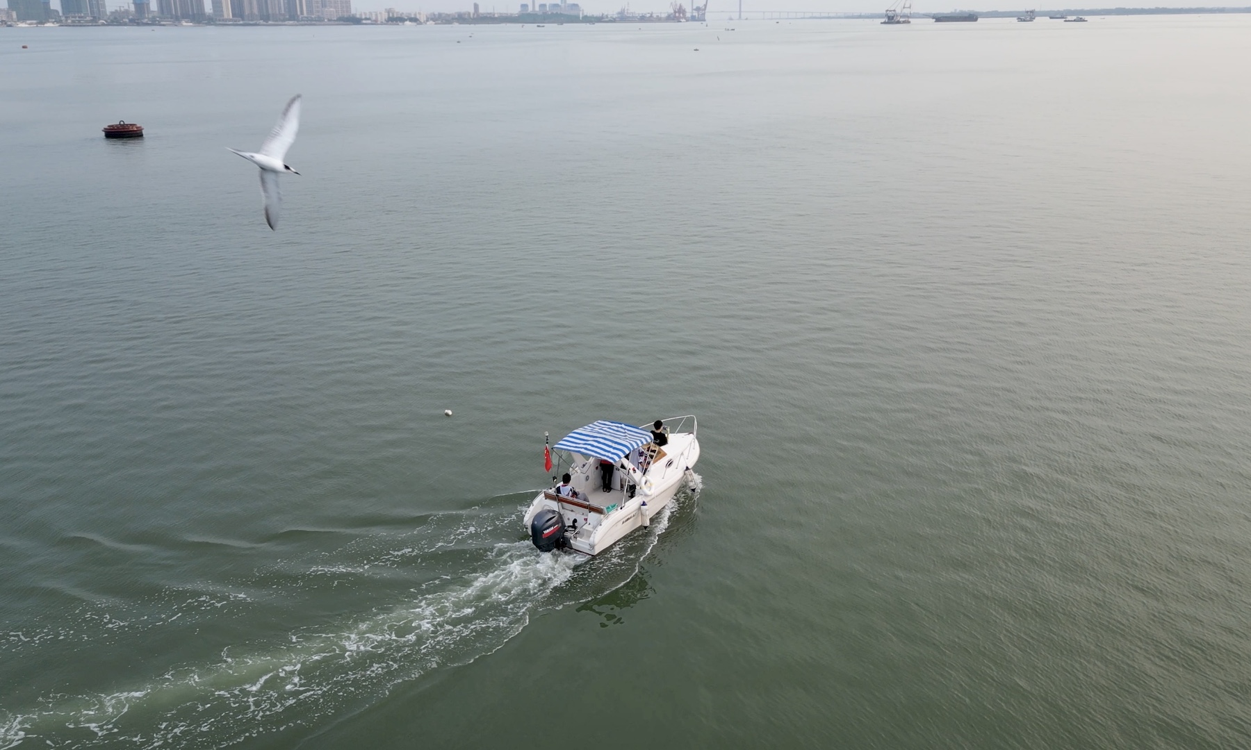 出海游船.jpg